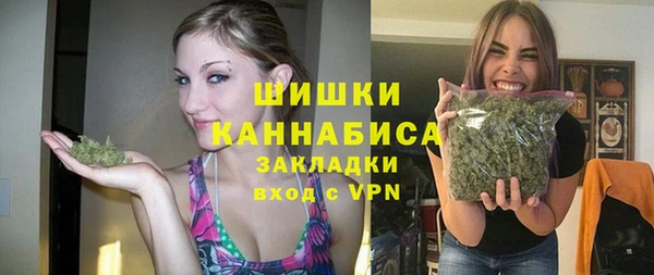 молекула духа Медвежьегорск