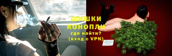 молекула духа Медвежьегорск