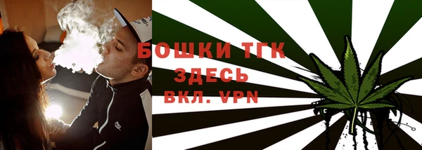 молекула духа Медвежьегорск