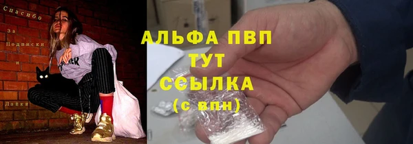 молекула духа Медвежьегорск