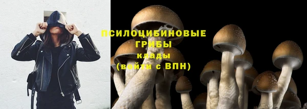 соль курить ск Медногорск