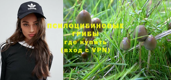 соль курить ск Медногорск