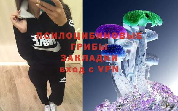 а пвп мука Михайлов