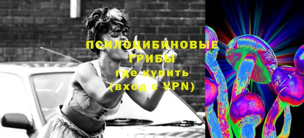 молекула духа Медвежьегорск