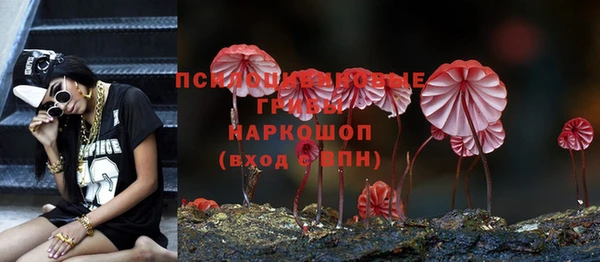 таблы Мегион