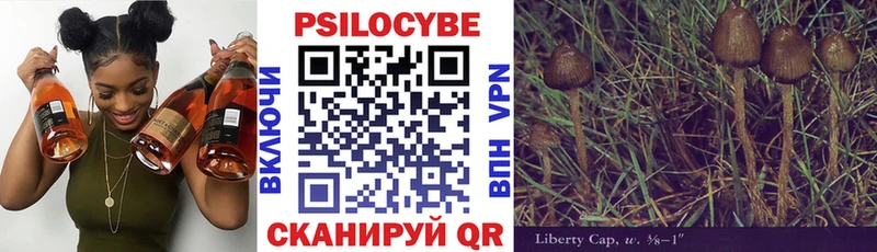 Псилоцибиновые грибы прущие грибы  Купить закладки  Кондрово 